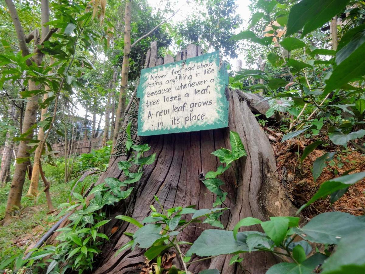 Camp Talusi Hilltop Overlooking El Nido Luaran gambar