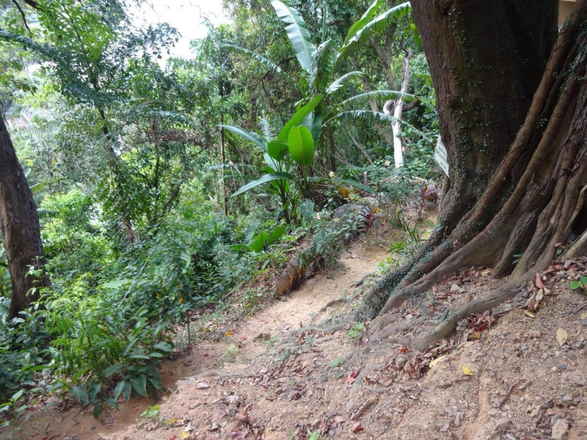 Camp Talusi Hilltop Overlooking El Nido Luaran gambar